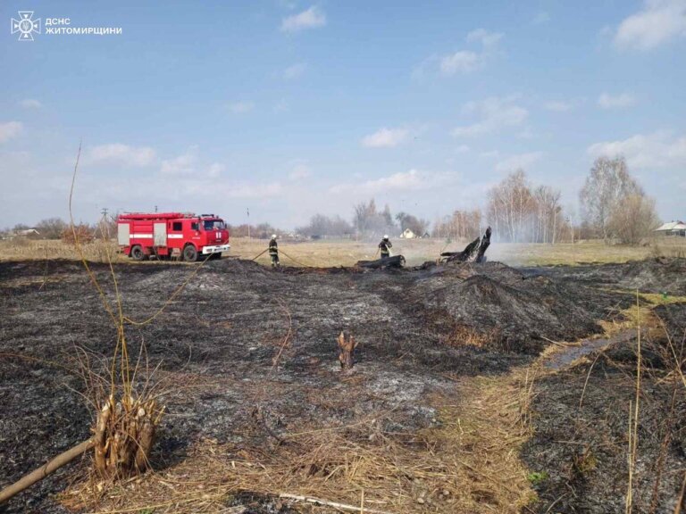 В області продовжує горіти суха трава