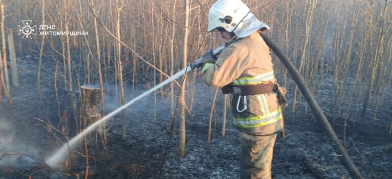 Упродовж минулої доби на Житомирщині рятувальники ліквідували 45 пожеж на відкритих територіях