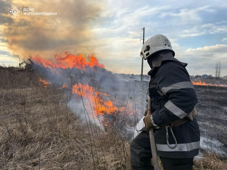 Упродовж минулої доби рятувальниками Житомирщини ліквідовано 45 займань сухої рослинності, чагарників тощо