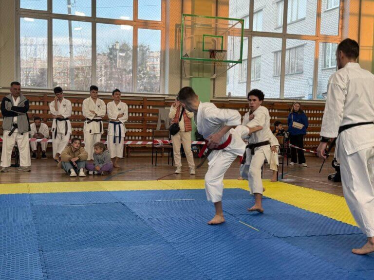 Чемпіонат Житомирської області з традиційного карате: сила, дух і перемога!