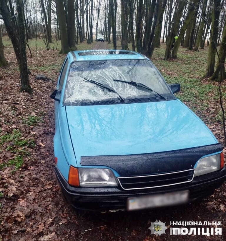 Збив жінку з дитиною та втік з місця ДТП: у Романівській громаді поліцейські розшукали та затримали причетного