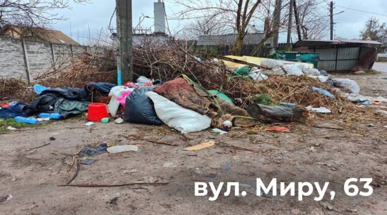 Правила утилізації відходів у Житомирі: що варто знати містянам