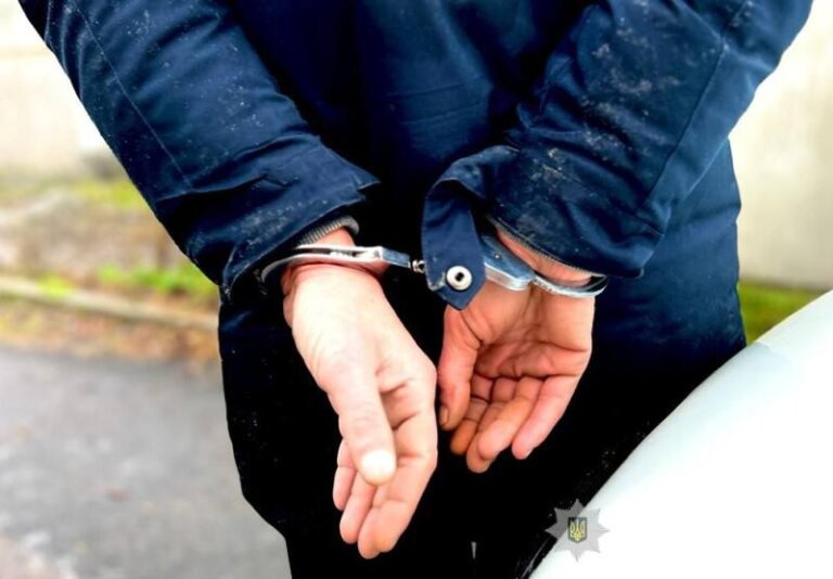 За тяжке травмування молодика та вирощування наркозілля жителя Звягельщини засуджено до 5 років позбавлення волі