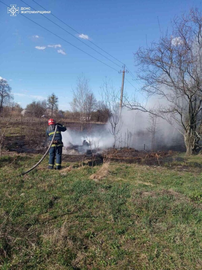 Минулої доби рятувальниками Житомирщини ліквідовано 23 пожежі сухої рослинності