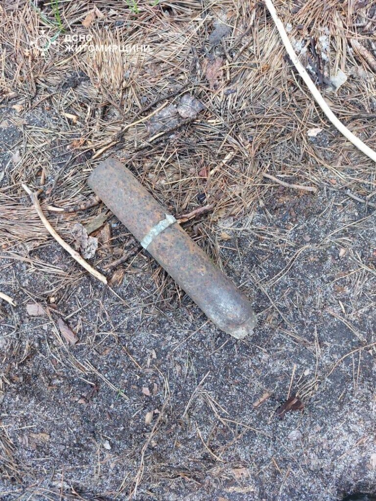 Поблизу ліса у селі Забілоччя Житомирського району місцеві мешканці виявили артснаряд часів минулих війн