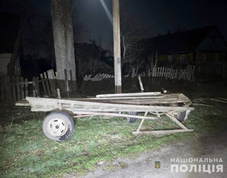 На Коростенщині правоохоронці встановлюють обставини загибелі пенсіонерки у ДТП