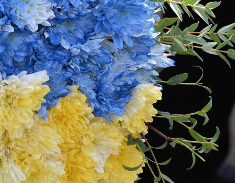 На щиті повернувся Герой… Остапчук Ігор Олексійович