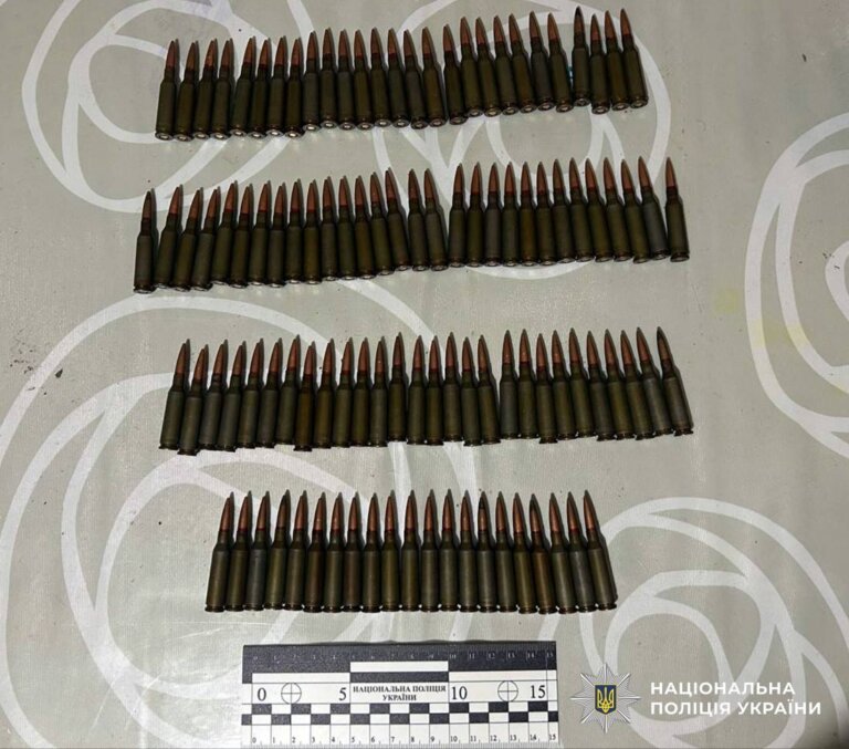 Зберігав удома зброю та боєприпаси: житомирські поліцейські затримали підозрюваного