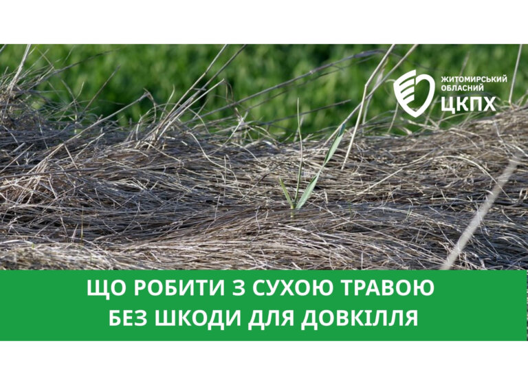 Що робити з сухою травою без шкоди для довкілля