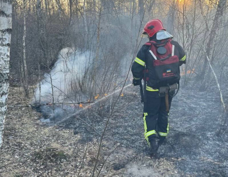Упродовж минулої доби вогнеборці області ліквідували 5 пожеж на відкритих територіях