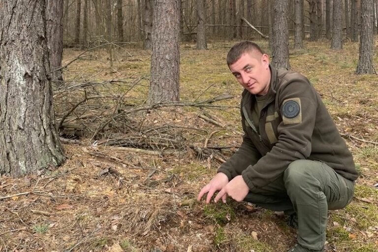 Збитки за порубку понад тисячі дерев в Народицькій громаді Коростенського району становлять майже 4 млн грн