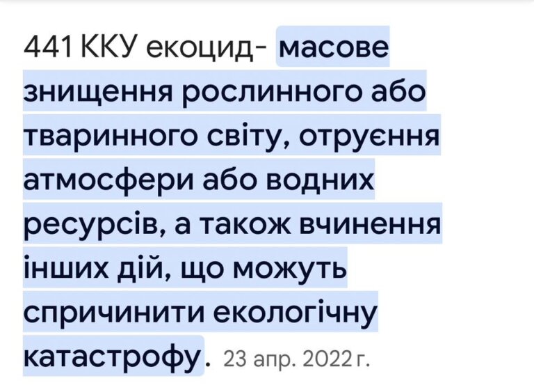 Міська влада не виконує свою роботу: думка житомирян після початку екологічної катастрофи у міст