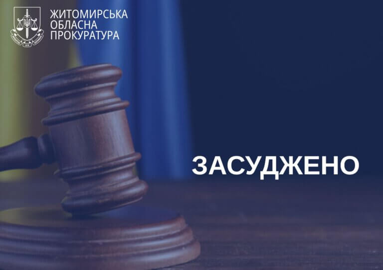 На Житомирщині засуджено двох чоловіків за тяжкі злочини, вчинені під час побутових конфліктів
