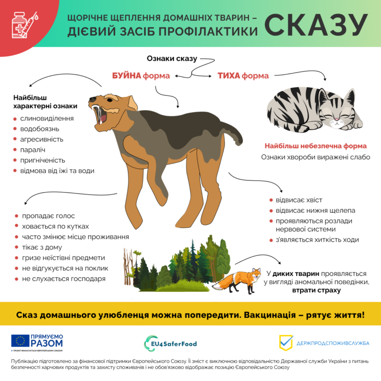 Безкоштовні щеплення від сказу для домашніх тварин на Житомирщині: де можна зробити