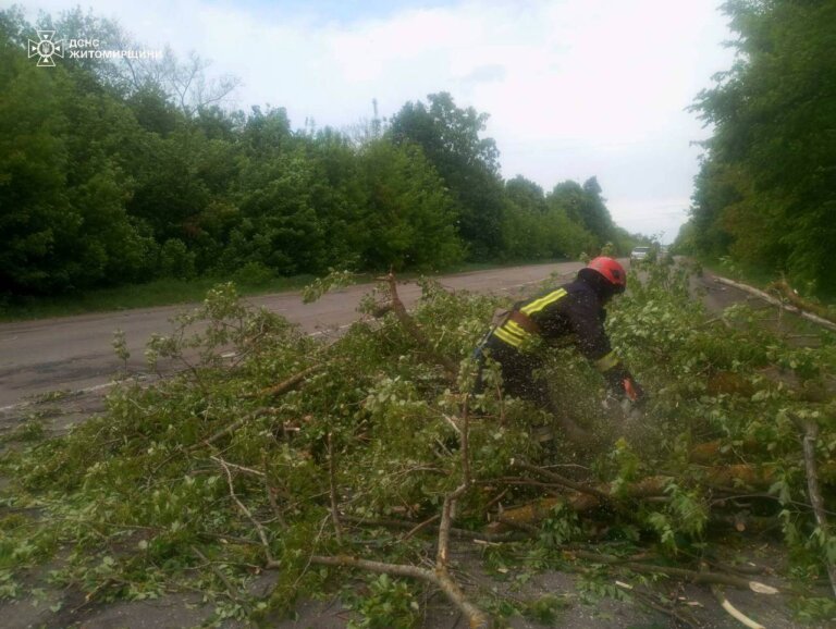 Упродовж минулої доби рятувальники двічі виїжджали на ліквідацію наслідків негоди