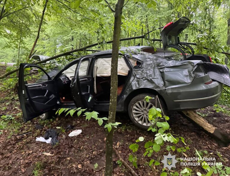 Вчинив ДТП з травмуванням людини: житомирські поліцейські затримали нетверезого водія