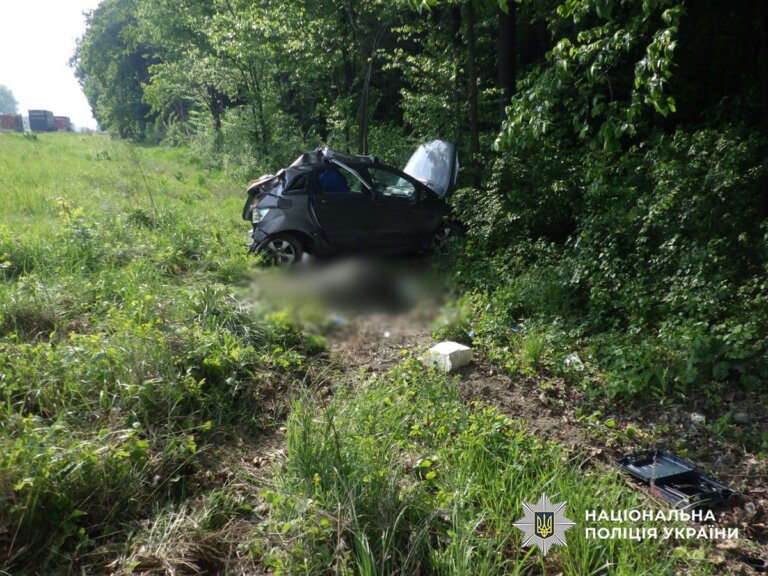 У ДТП на Звягельщині загинула жінка: поліція проводить розслідування