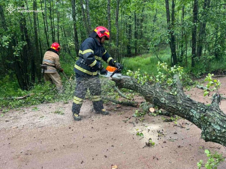 Рятувальники ліквідували наслідки негоди