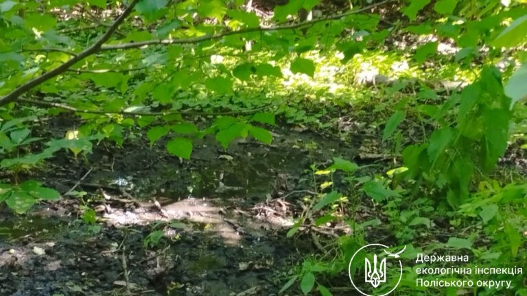 Екоінспекція перевіряє інформацію щодо ймовірного забруднення земель поблизу села Довжик