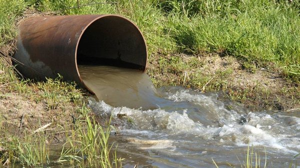 Учасників злочинної групи судитимуть за забруднення водойми стічними водами та розкрадання коштів, призначених для якісного очищення стоків