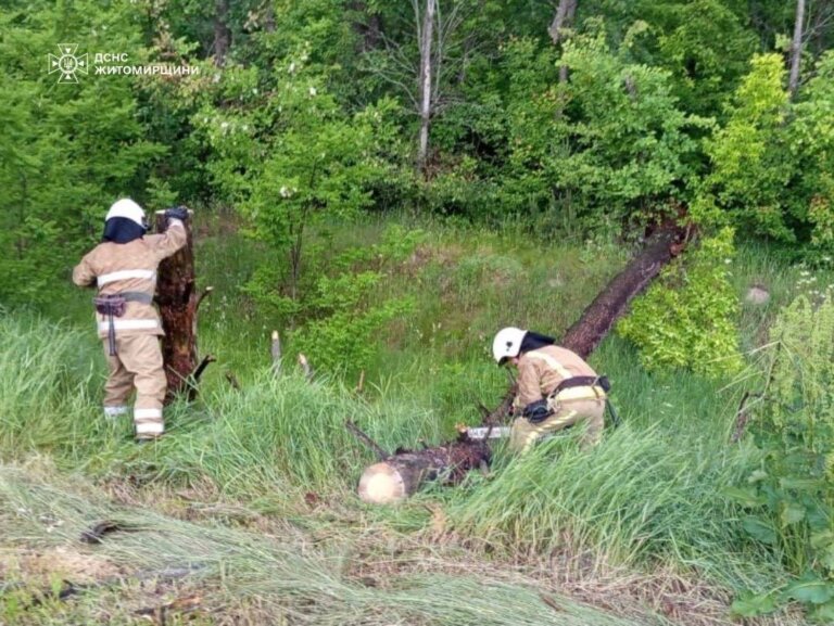За добу рятувальники два рази залучалися до прибирання повалених негодою дерев
