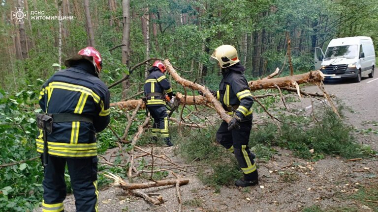 За добу рятувальники шість разів надавали допомогу у розрізанні та прибиранні дерев, які впали через пориви вітру