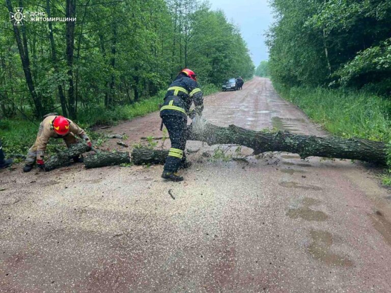 За добу рятувальники тричі надавали допомогу у розрізанні та прибиранні дерев, які впали через пориви вітру