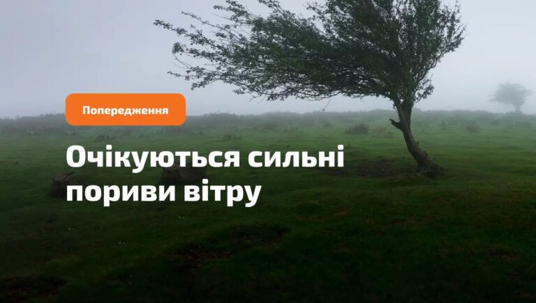 25 червня вдень у більшості західних та Житомирській областях пориви вітру 15-20 м/с (І рівень небезпечності, жовтий)