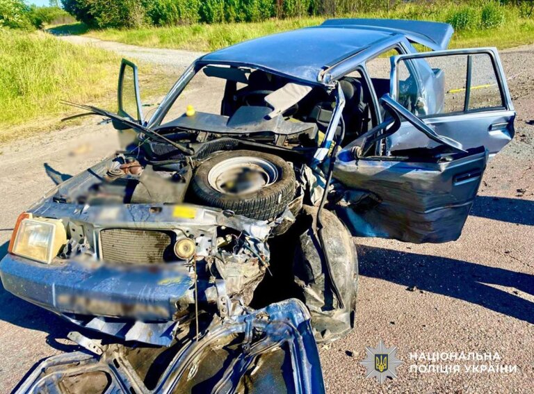 Поліцейські з’ясовують обставини смертельної ДТП на Звягельщині