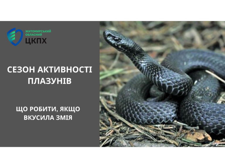 УВАГА: Почався сезон активності плазунів