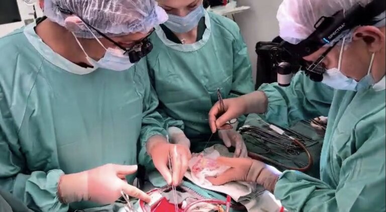 Трансплантація під обстрілами