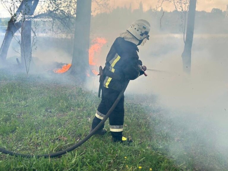 Понад 5 гектарів сухостою знищено вогнем — полум’я наступає на оселі та лісопосадки!