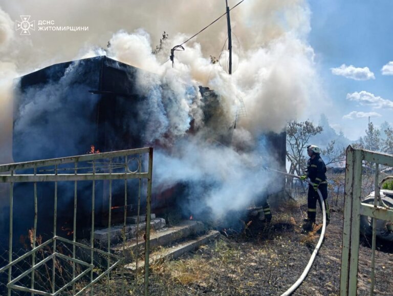 Пожежа сухостою ледь не знищила будинок у Житомирському районі