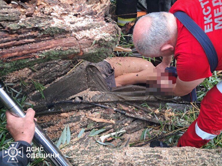 Дерево впало на намет із підлітками під час негоди на Одещині: один хлопець загинув
