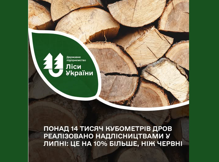 Які дрова найчастіше купляють на Житомирщині?