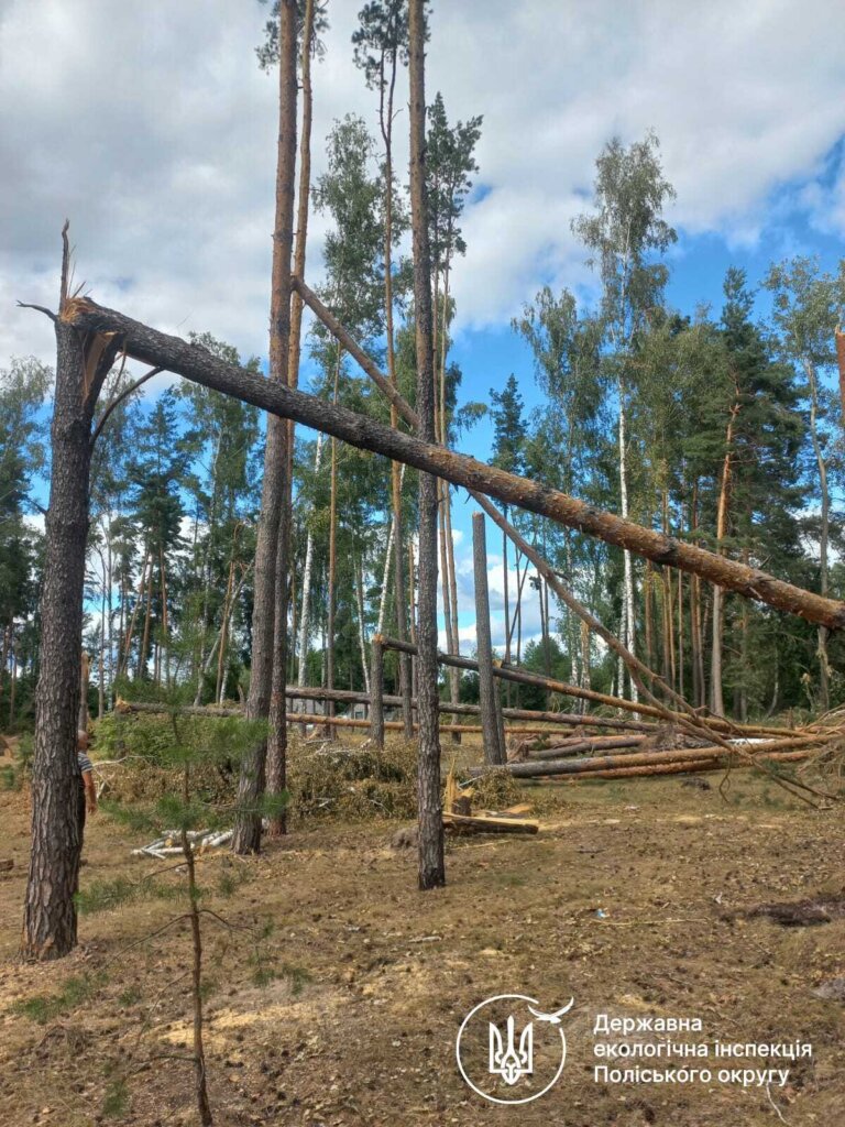 На території Новогуйвинської громади внаслідок буревію пошкоджено близько 200 дерев