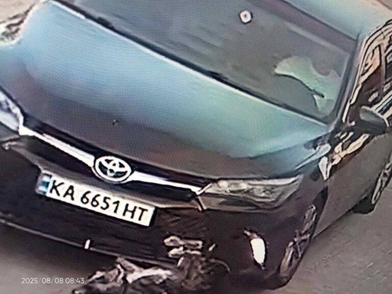 Журналістам вдалося з’ясувати особу водія, який цинічно збив собаку поблизу ТРЦ «Глобал» у Житомирі і втік з місця пригоди