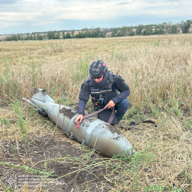 Під час покосу трави аграрії виявили нездетоновану авіаційну бомбу