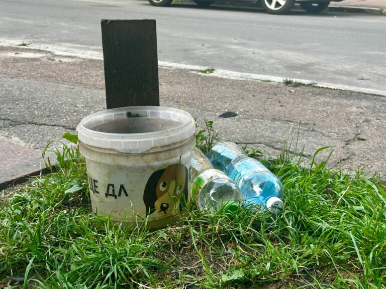 Турбота про тварин від небайдужих житомирян