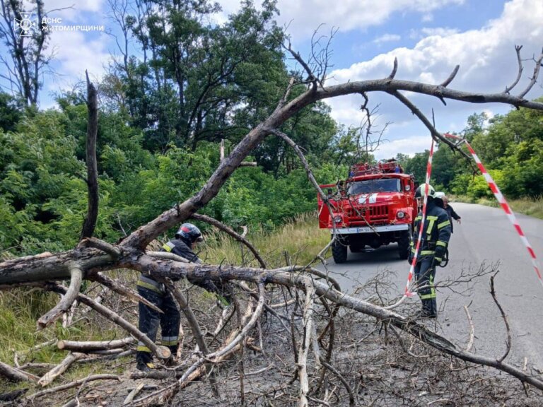 За добу рятувальники двічі залучалися до прибирання повалених негодою дерев