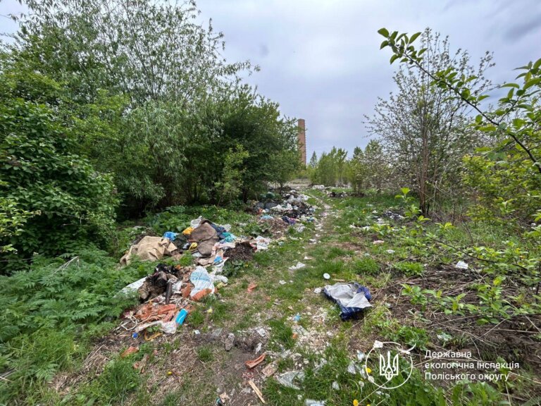 Екоінспекція моніторить ситуацію щодо належного санітарного стану території вздовж автошляху до Житомирського полігону ТПВ