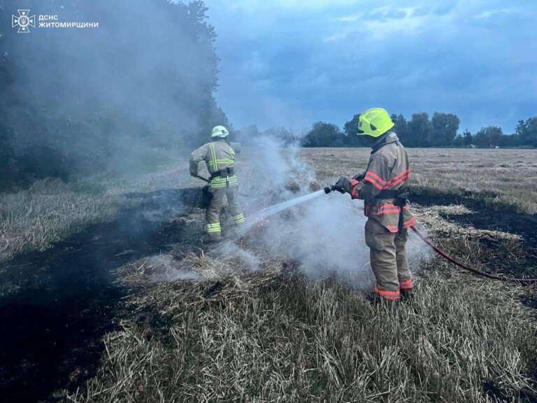 Упродовж минулої доби вогнеборці ліквідували 5 загорянь сухостою!