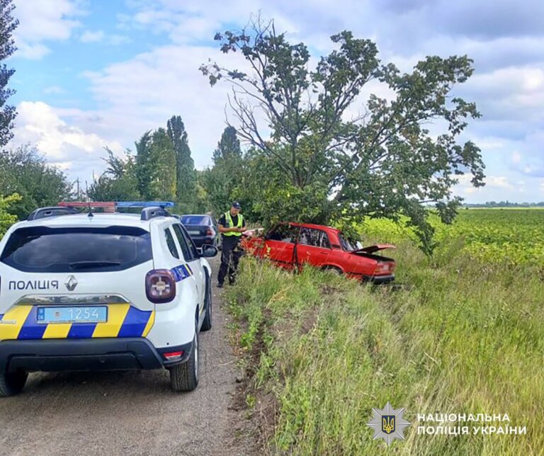 У ДТП на Житомирщині травми отримали однорічний хлопчик і його батько: поліцейські розпочали розслідування