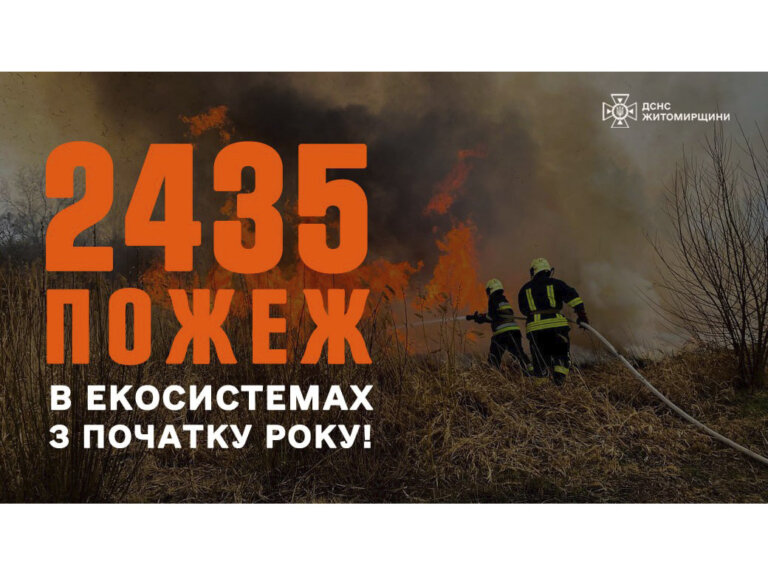 На Житомирщині з початку року вже виникло 2435 пожеж у природних екосистемах, вогнем пройдено майже 2900 га території!