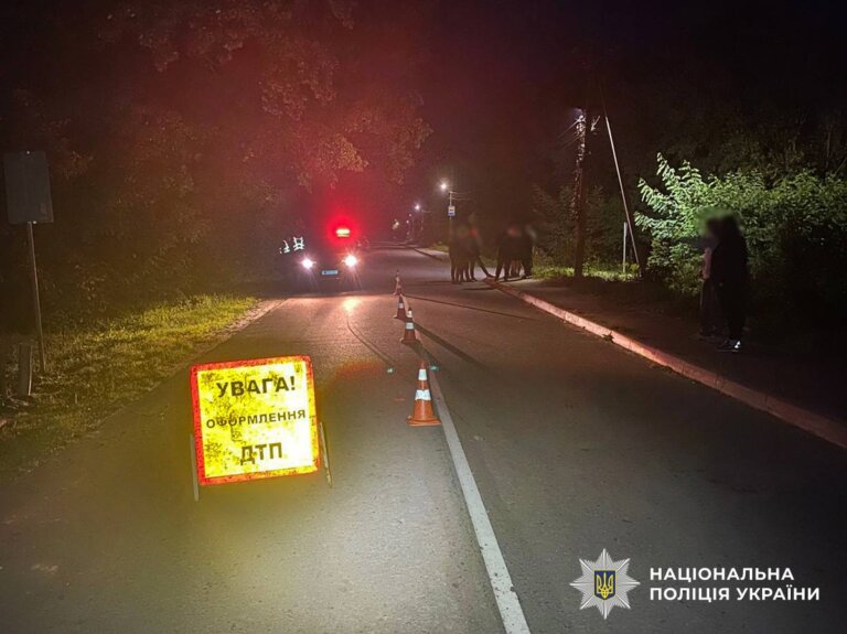 Збив 11-річну дівчинку та втік з місця ДТП у Житомирі: поліція розшукує водія