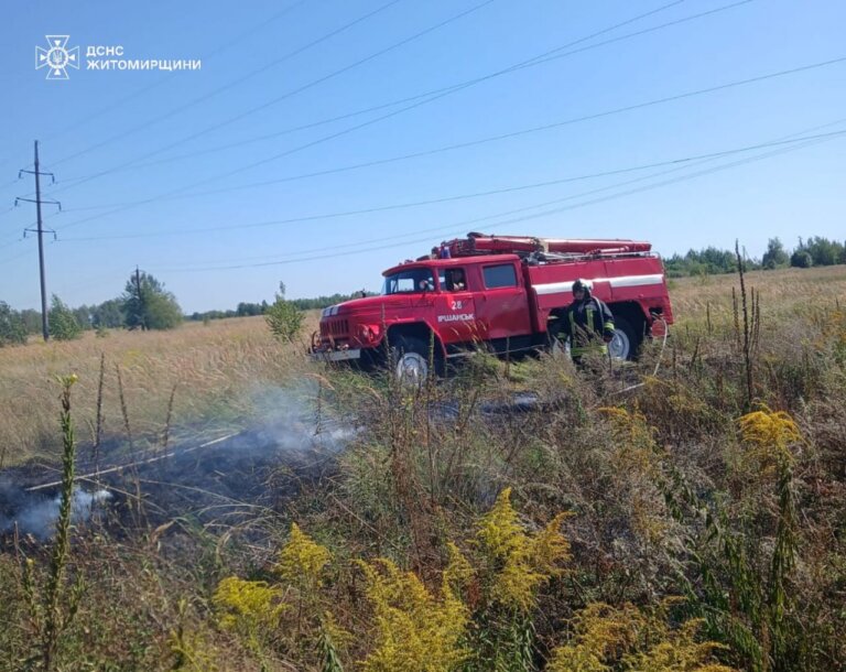 Упродовж минулої доби рятувальники області сім разів залучалися на ліквідацію пожеж на відкритих територіях