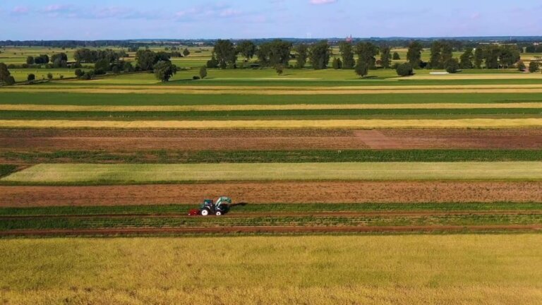 Понад 736 млн грн сплатили власники та орендарі земельних ділянок до бюджетів громад Житомирщини
