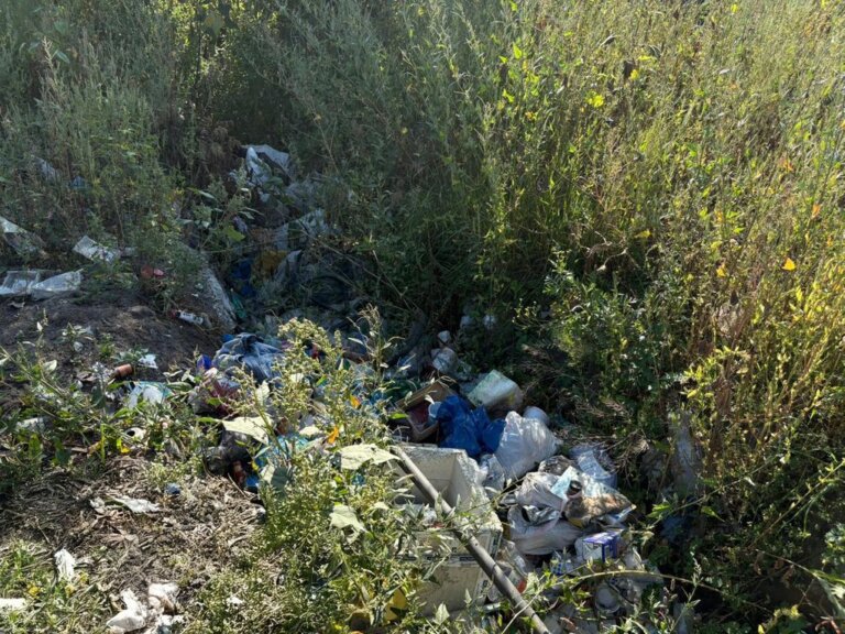 У Житомирі та передмісті виявили шість стихійних сміттєзвалищ