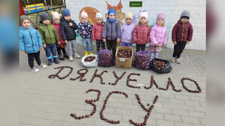 У Житомирі збирають каштани на підтримку ЗСУ: як долучитися до акції і куди нести каштани