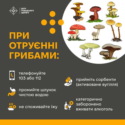 Медики Житомирщини застерігають: не нехтуйте правилами «тихого полювання»